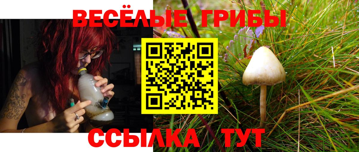 Псилоцибиновые грибы MAGIC MUSHROOMS Пенза